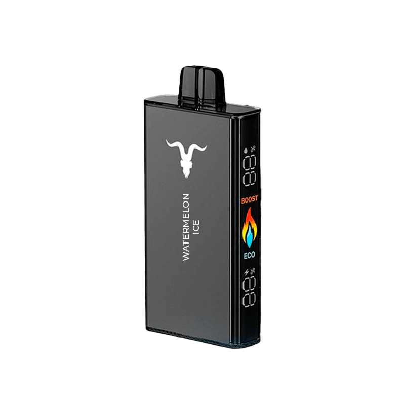 IGNITE V250 25000 PUFFS WATERMELON ICE 5% NICOTINA - Nuvem Argentina