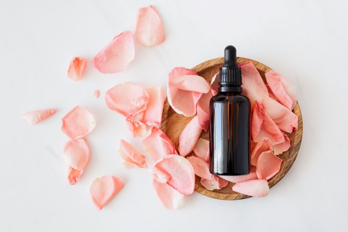 E-Liquids con Sales de Nicotina: De Sabores Clásicos a Frutales - Nuvem Argentina