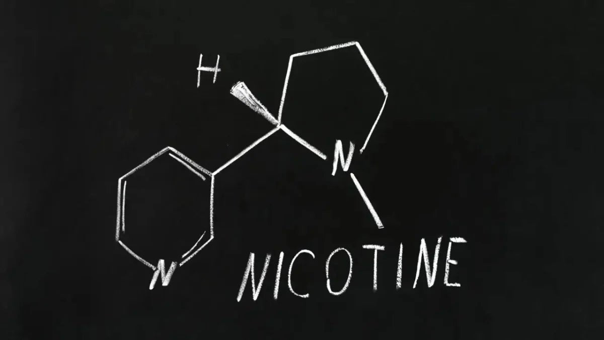 Historia de la Nicotina - Nuvem Argentina
