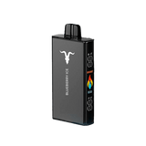 IGNITE V250 25000 PUFFS BLUEBERRY ICE 5% NICOTINA - Nuvem Argentina