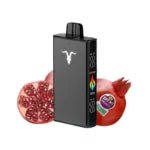 IGNITE V250 25000 PUFFS ICY SWEET AND SOUR POMEGRANATE 5% NICOTINA - Nuvem Argentina