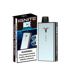 IGNITE V400 ICE 40000 PUFFS BLUEBERRY - VAPE DESCARTABLE 5% - Nuvem Argentina