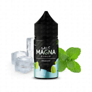 LÍQUIDO MAGNA SALT SPEARMINT 30ML - Nuvem Argentina