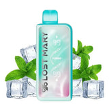 LOST MARY MT 35000 ICE MINT 5% NICOTINA - Nuvem Argentina